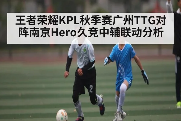 王者荣耀KPL秋季赛广州TTG对阵南京Hero久竞中辅联动分析 | NG28